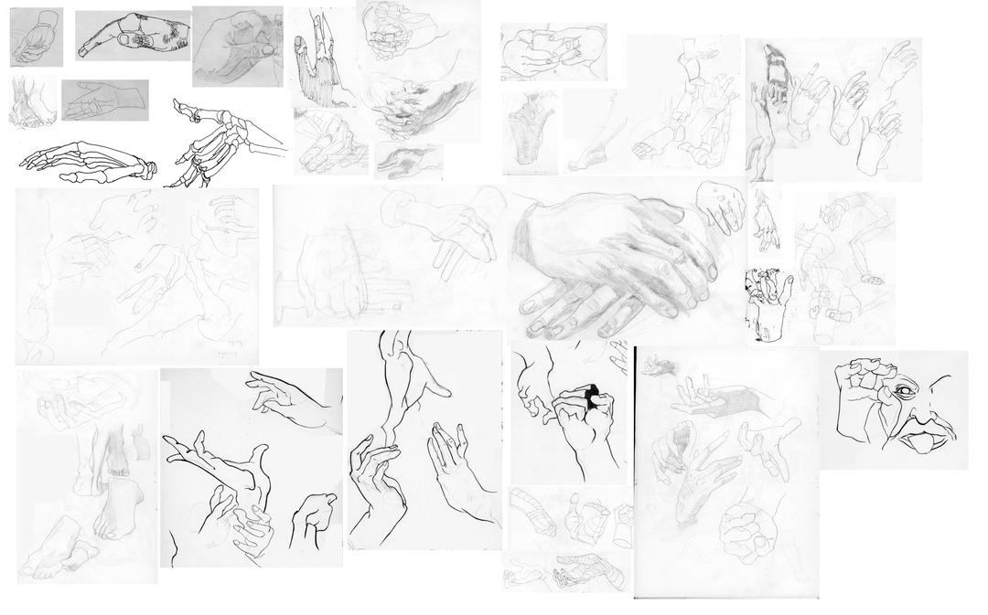 Hand Studies