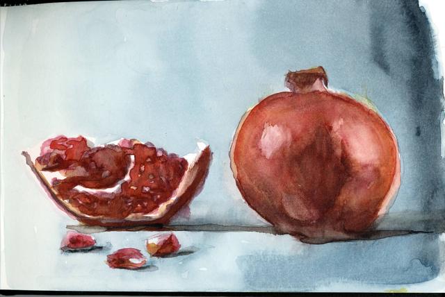 Study of Pomegranate